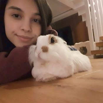 thumbnail petsitter București sau bonă pentru animale pentru