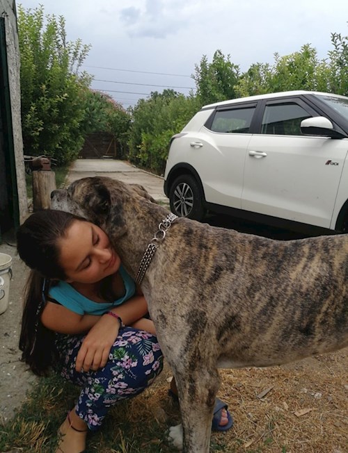 Amalia-Elena- petsitter București or Pet nanny for dogs cats 