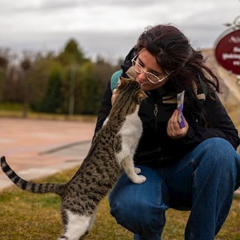thumbnail petsitter Timișoara sau bonă pentru animale pentru câini pisici