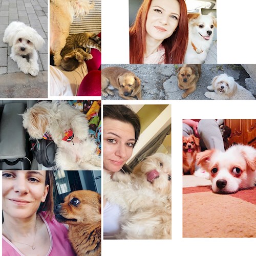Gina- petsitter București sau Bonă pentru animale pentru câini pisici