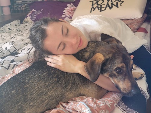 Cristea- petsitter Cluj-Napoca sau Bonă pentru animale pentru câini pisici