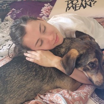 thumbnail petsitter Cluj-Napoca sau bonă pentru animale pentru câini pisici