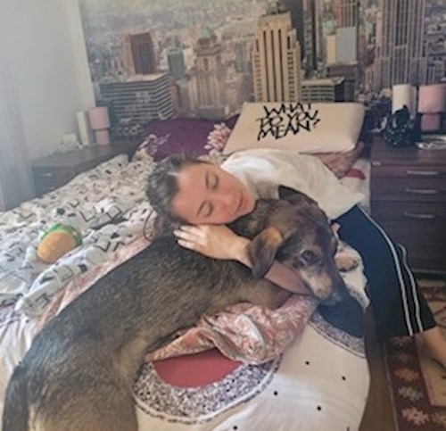 Cristea- petsitter Cluj-Napoca sau Bonă pentru animale pentru câini pisici