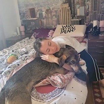 thumbnail petsitter Cluj-Napoca sau bonă pentru animale pentru câini pisici