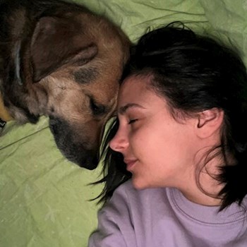 thumbnail petsitter București sau bonă pentru animale pentru câini pisici