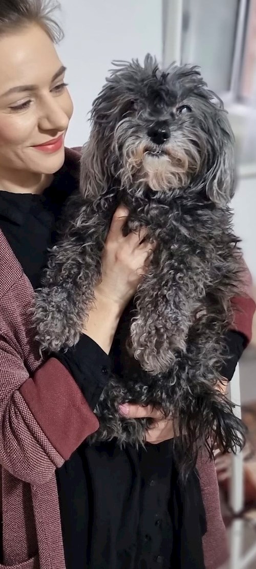 Gina- petsitter București sau Bonă pentru animale pentru câini pisici