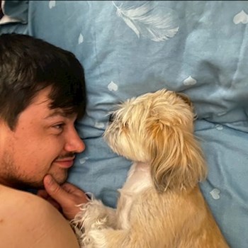 thumbnail petsitter Brașov sau bonă pentru animale pentru câini pisici