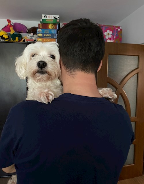 Emina- petsitter Brașov sau Bonă pentru animale pentru câini pisici