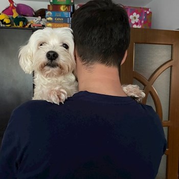 thumbnail petsitter Brașov sau bonă pentru animale pentru câini pisici