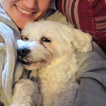 thumbnail petsitter Brașov sau bonă pentru animale pentru câini pisici