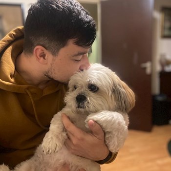 thumbnail petsitter Brașov sau bonă pentru animale pentru câini pisici