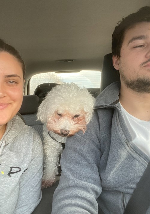 Emina- petsitter Brașov sau Bonă pentru animale pentru câini pisici