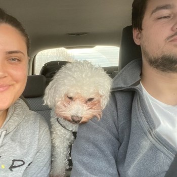 thumbnail petsitter Brașov sau bonă pentru animale pentru câini pisici