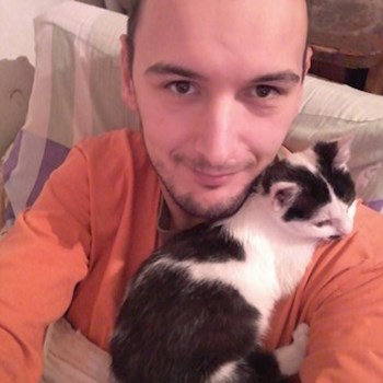 thumbnail petsitter București sau bonă pentru animale pentru câini pisici