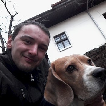 thumbnail petsitter București sau bonă pentru animale pentru câini pisici