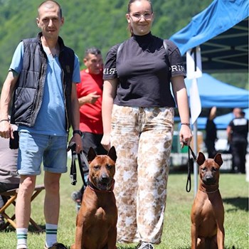 thumbnail petsitter Târgu Mureș vagy Állat szitter a kutyák cicák