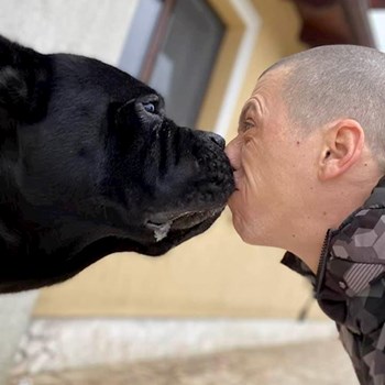 thumbnail petsitter Târgu Mureș vagy Állat szitter a kutyák cicák