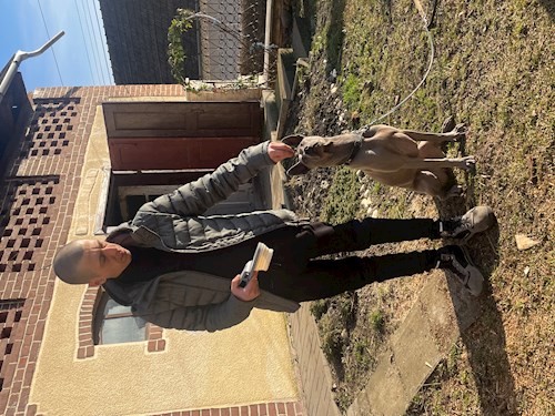 RICHARDO- petsitter Târgu Mureș vagy Állat szitter a kutyák cicák