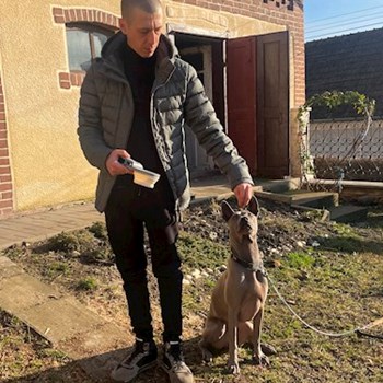 thumbnail petsitter Târgu Mureș vagy Állat szitter a kutyák cicák