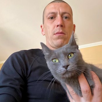 thumbnail petsitter Târgu Mureș vagy Állat szitter a kutyák cicák