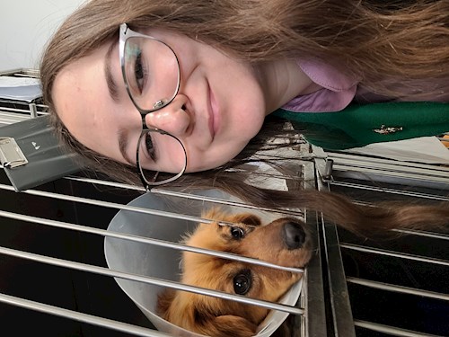 Lorena- petsitter Bragadiru or Pet nanny for dogs cats