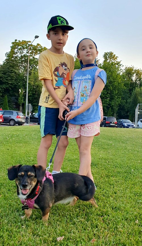 Nicu- petsitter București sau Bonă pentru animale pentru câini pisici