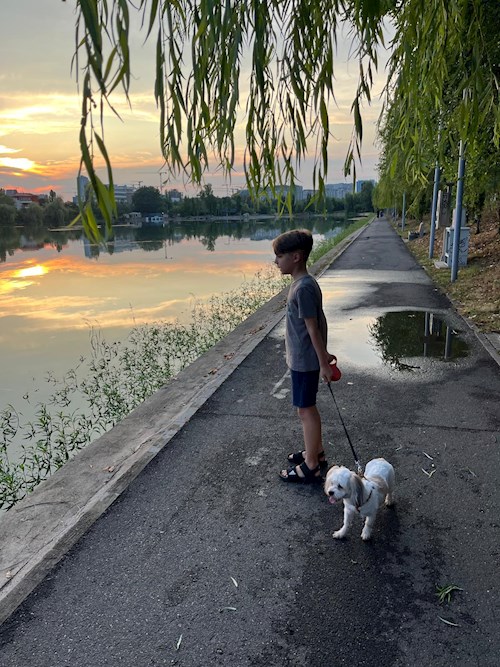 Nicu- petsitter București or Pet nanny for dogs cats