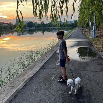 thumbnail petsitter București sau bonă pentru animale pentru câini pisici