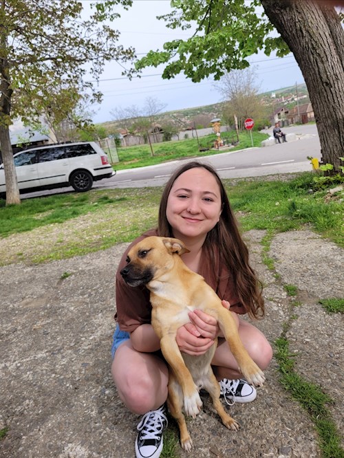 Lorena- petsitter Bragadiru or Pet nanny for dogs cats