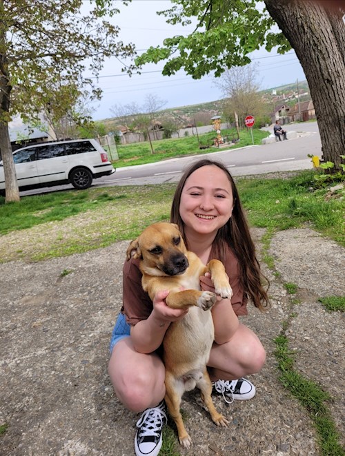 Lorena- petsitter Bragadiru or Pet nanny for dogs cats