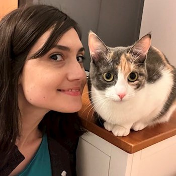 thumbnail petsitter București or pet nanny for cats