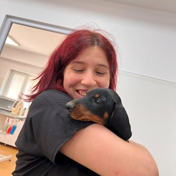 thumbnail petsitter București sau bonă pentru animale pentru câini pisici