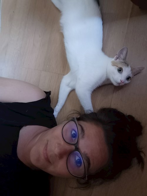 Charlotte- petsitter București sau Bonă pentru animale pentru pisici