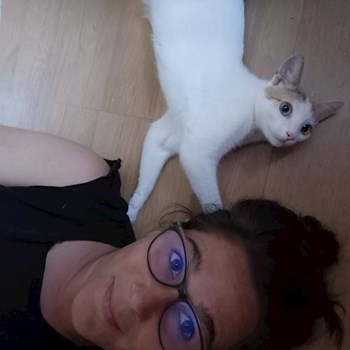 thumbnail petsitter București sau bonă pentru animale pentru pisici