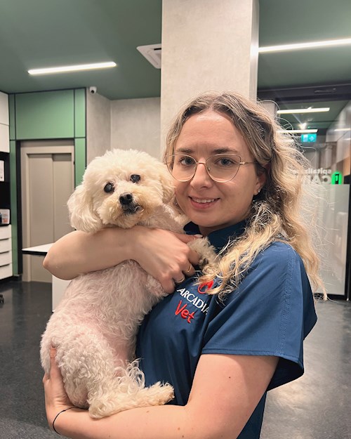 Grigoras- petsitter Iași or Pet nanny for dogs cats