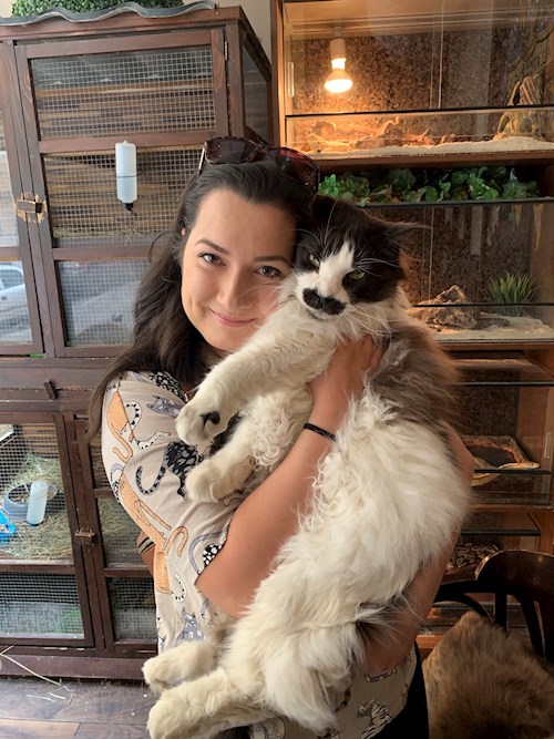 Patrintasu- petsitter Târgu Mureș or Pet nanny for dogs cats