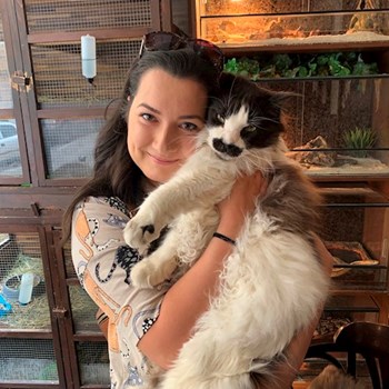 thumbnail petsitter Târgu Mureș or pet nanny for dogs cats