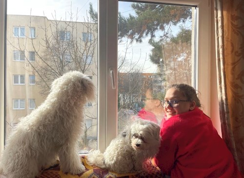 Cristina-Maria- petsitter Florești sau Bonă pentru animale pentru câini pisici