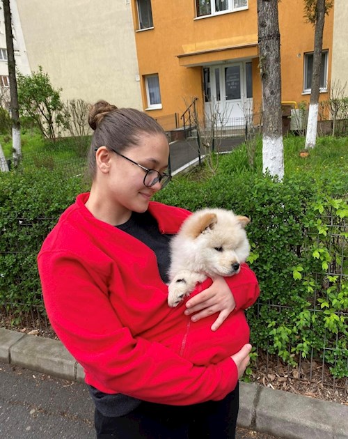 Cristina-Maria- petsitter Florești sau Bonă pentru animale pentru câini pisici