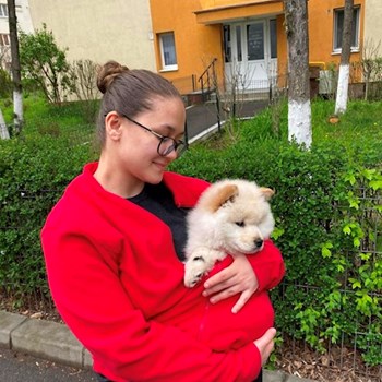 thumbnail petsitter Florești sau bonă pentru animale pentru câini pisici