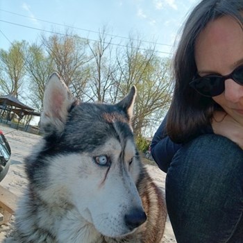 thumbnail petsitter București sau bonă pentru animale pentru câini pisici