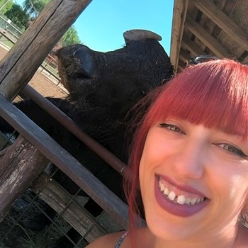 thumbnail petsitter București sau bonă pentru animale pentru câini pisici