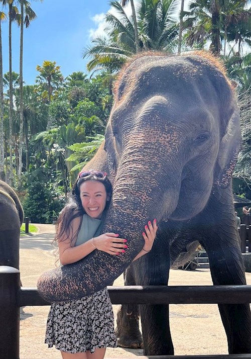 Mihaela- petsitter București or Pet nanny for dogs cats