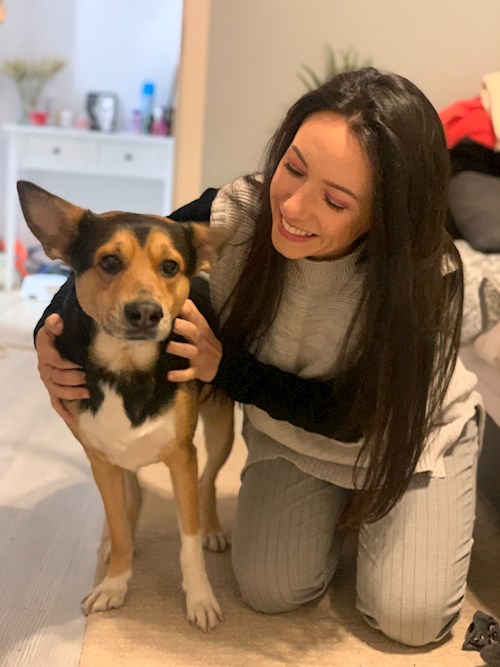 Mihaela- petsitter București or Pet nanny for dogs cats