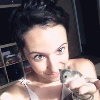 thumbnail petsitter București or pet nanny for dogs cats