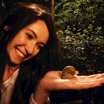 thumbnail petsitter București or pet nanny for dogs cats