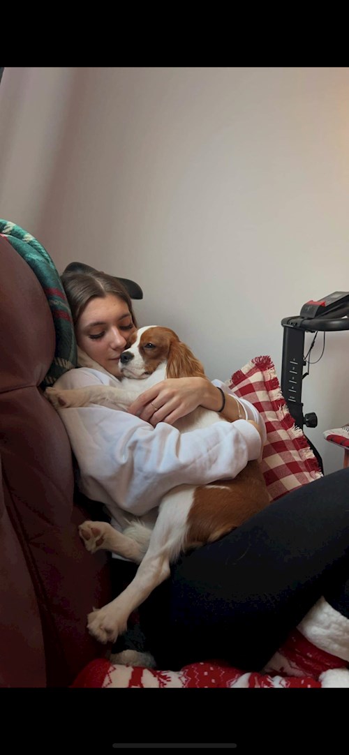 Andreea- petsitter București or Pet nanny for dogs cats