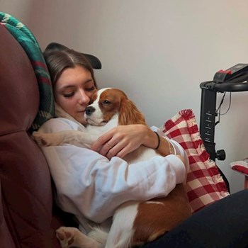 thumbnail petsitter București or pet nanny for dogs cats