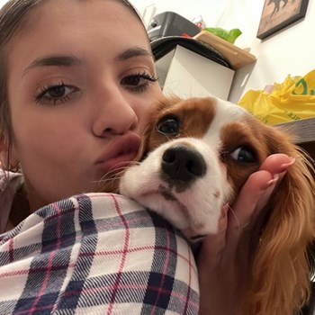 thumbnail petsitter București or pet nanny for dogs cats