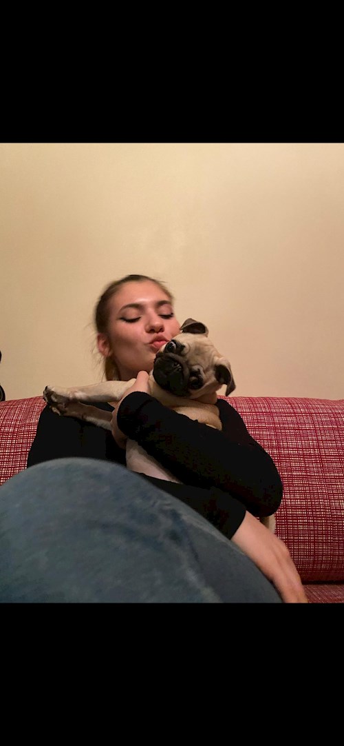 Andreea- petsitter București or Pet nanny for dogs cats